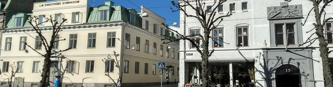 De två byggnaderna som skolan ligger i: biskopshuset och vita huset